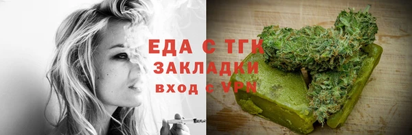 хмурый Тавда
