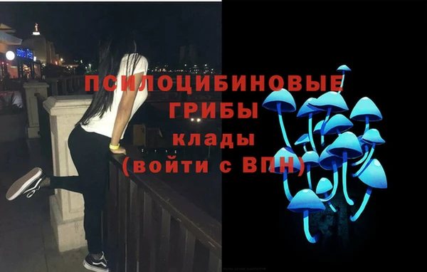 крисы Балабаново