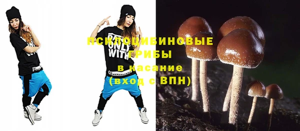 стафф Баксан